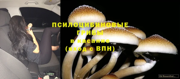спайс Армянск